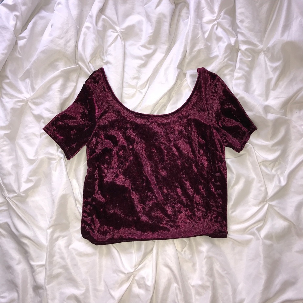 Velvet Crop Top